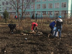 Изображение Изображение