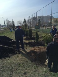 �����������