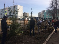 �����������