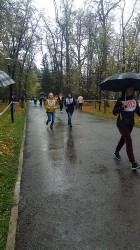 Изображение Изображение