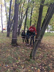 �����������